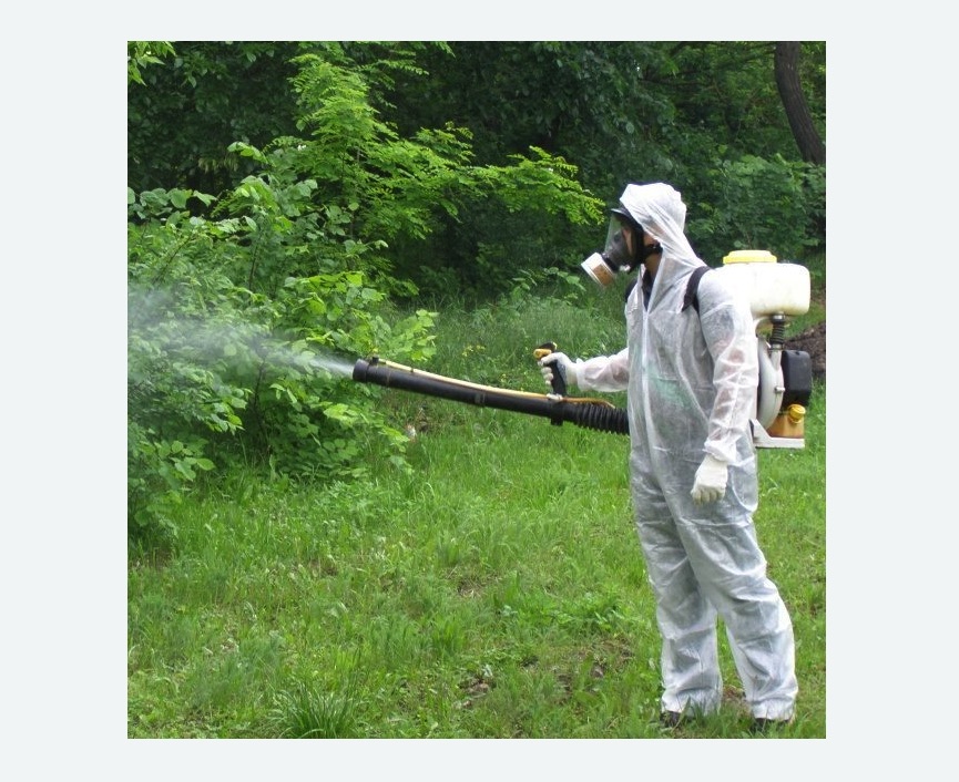 обработка дачи от клещей обработка территории от клещей в Московском