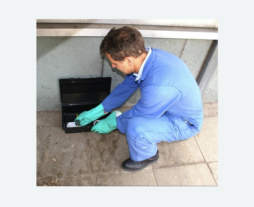 Уничтожение мышей в Московском Уничтожение мышей