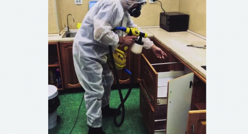 Дезинсекция квартиры. Московский