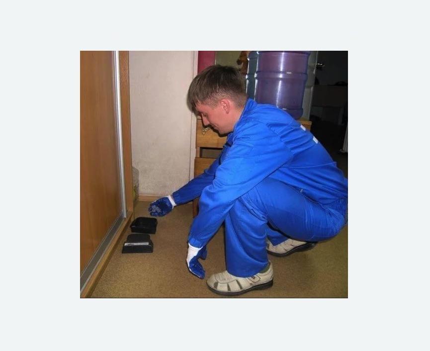 Дератизация крыс в Московском