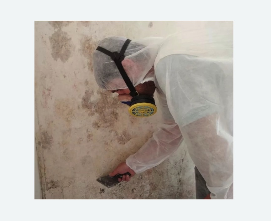 Обработка стен от плесени в Московском