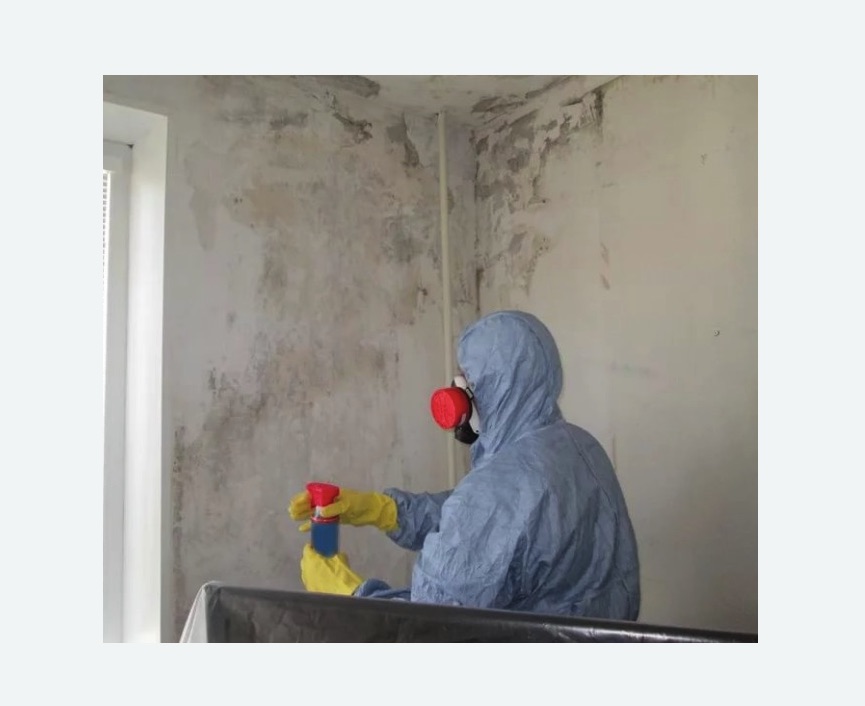 Удаление плесени в квартире в Московском