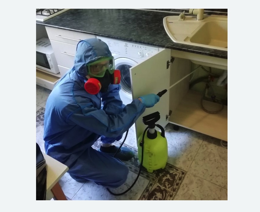 обработка от муравьев в квартире в Московском