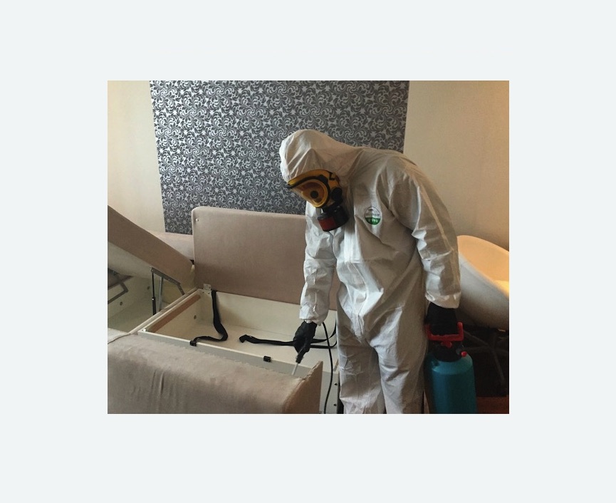 уничтожение клопов в квартире в Московском