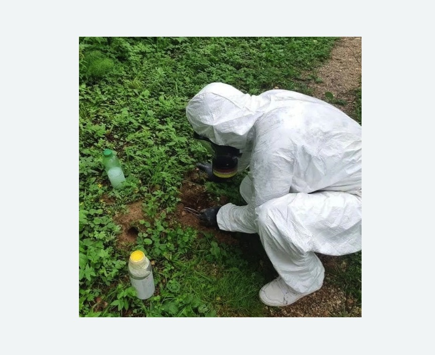 уничтожение кротов на участке в Московском