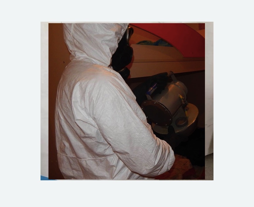 Дезинфекция от муравьев в Московском