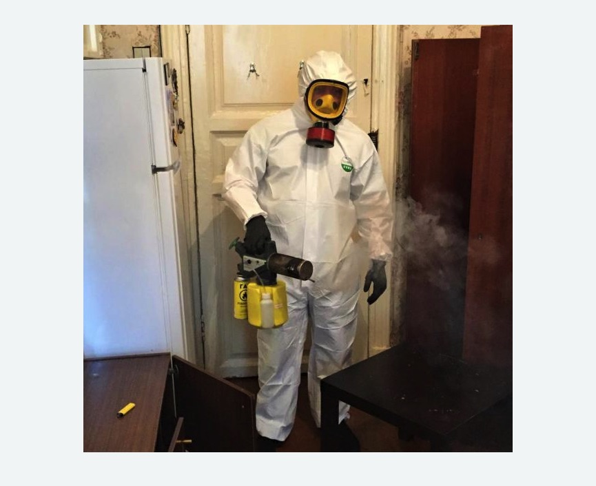 уничтожение муравьев в квартире в Московском